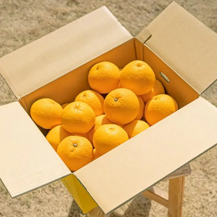 ［先行予約］和歌山県産はっさく秀品 10kg（L ～ 2L）［2027年1月中旬以降より順次発送］