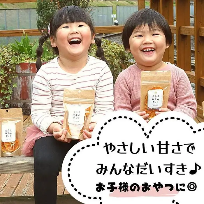 ドライフルーツ みかんチップ 400g ( 20g × 20袋 ) 和歌山県産 果物使用 自社製造 【みかんの会】