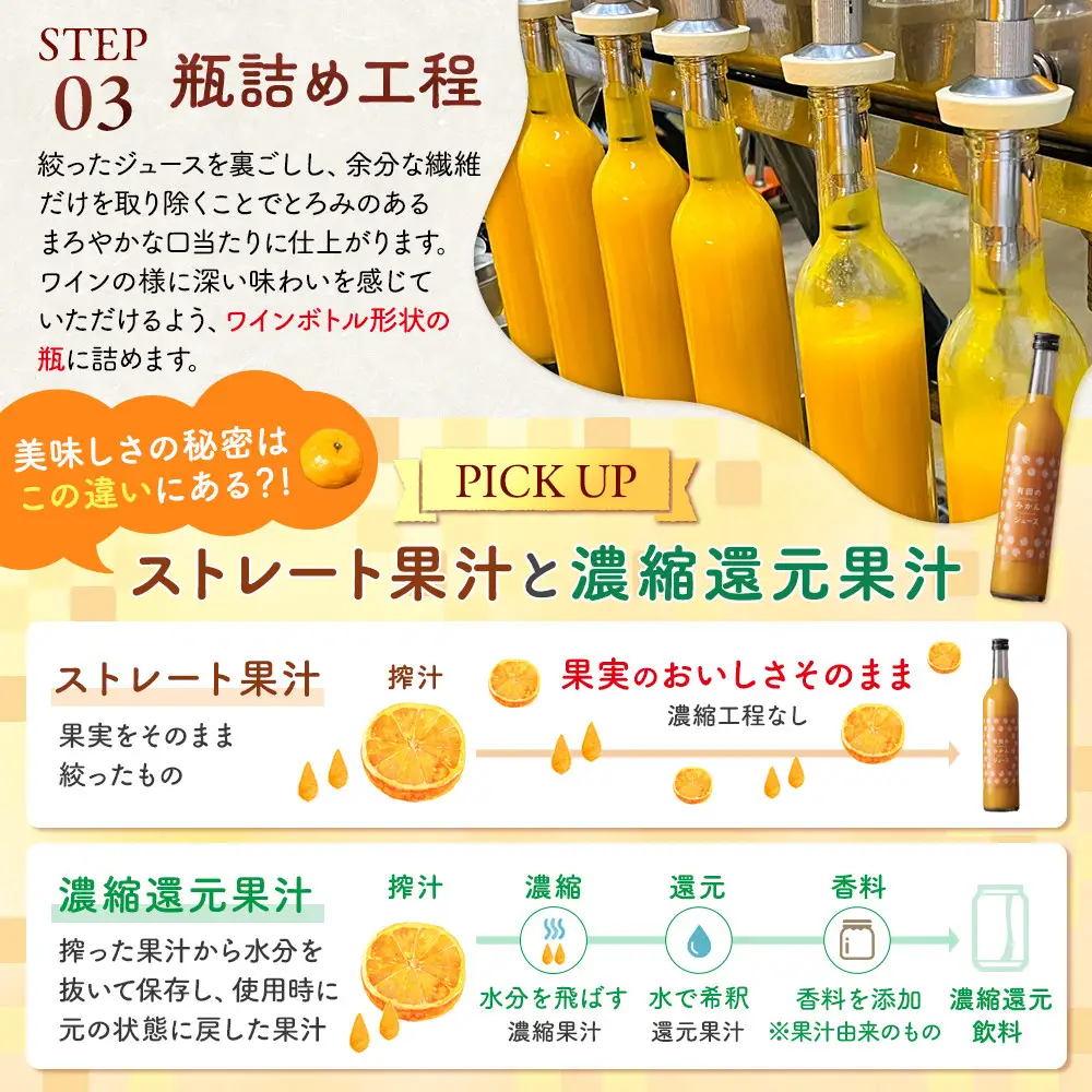 有田のみかんジュース 500ml×12本  和歌山県産 有田みかん使用 無添加 100％ ストレート