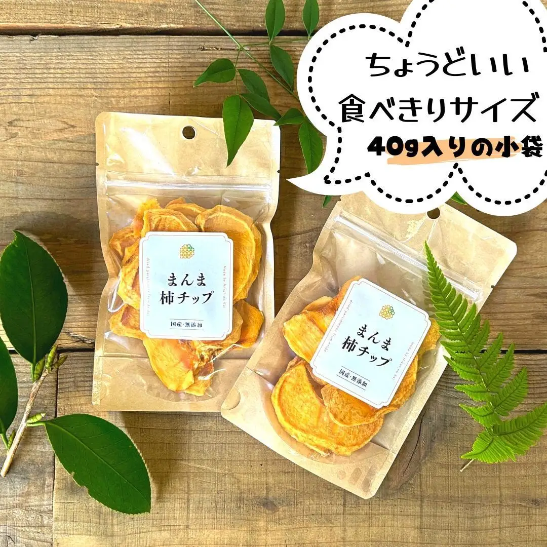 ドライフルーツ 柿チップ 800g ( 40g × 20袋 ) 和歌山県産 果物使用 自社製造 【みかんの会】