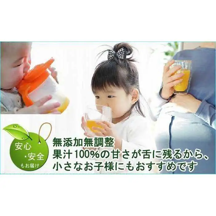 無添加100％みかんジュース 1000ml×1本【平武農園】～蛍飛ぶ町から旬の便り～