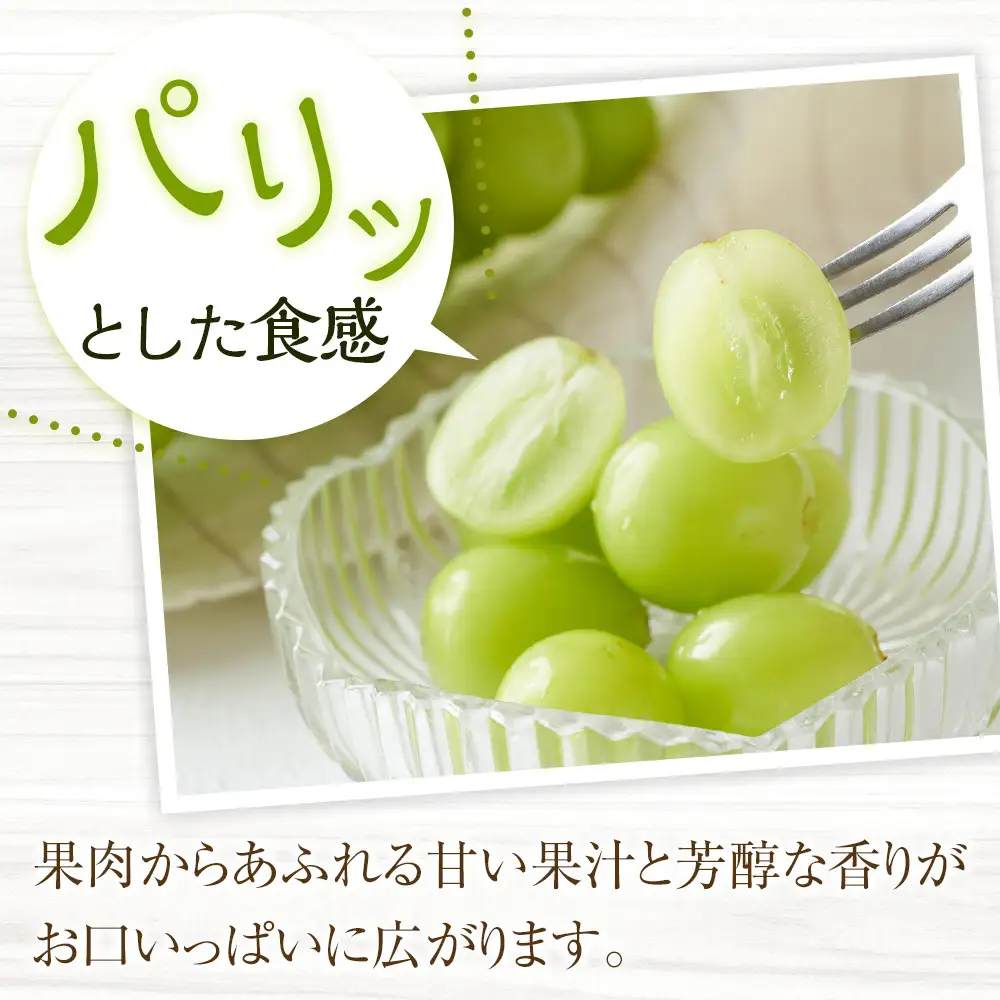 ［先行予約］シャインマスカット 約1.4kg  (2房～4房) 有田巨峰村 【朝採 新鮮】 ■2026年発送■※8月下旬頃から9月下旬頃まで順次発送予定 | ぶどう シャインマスカット ぶどう