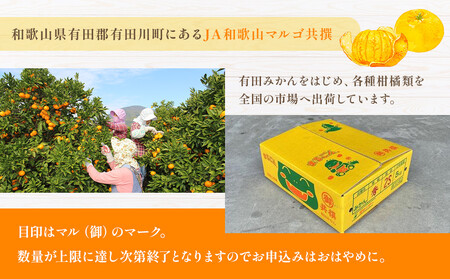 有田みかん 5kg 2Sサイズ 光センサー使用 高糖度