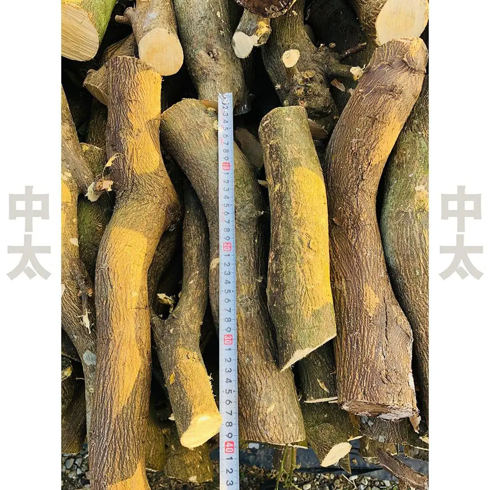 薪 キャンプ用 有田みかんの薪10kg(中太のみ)
