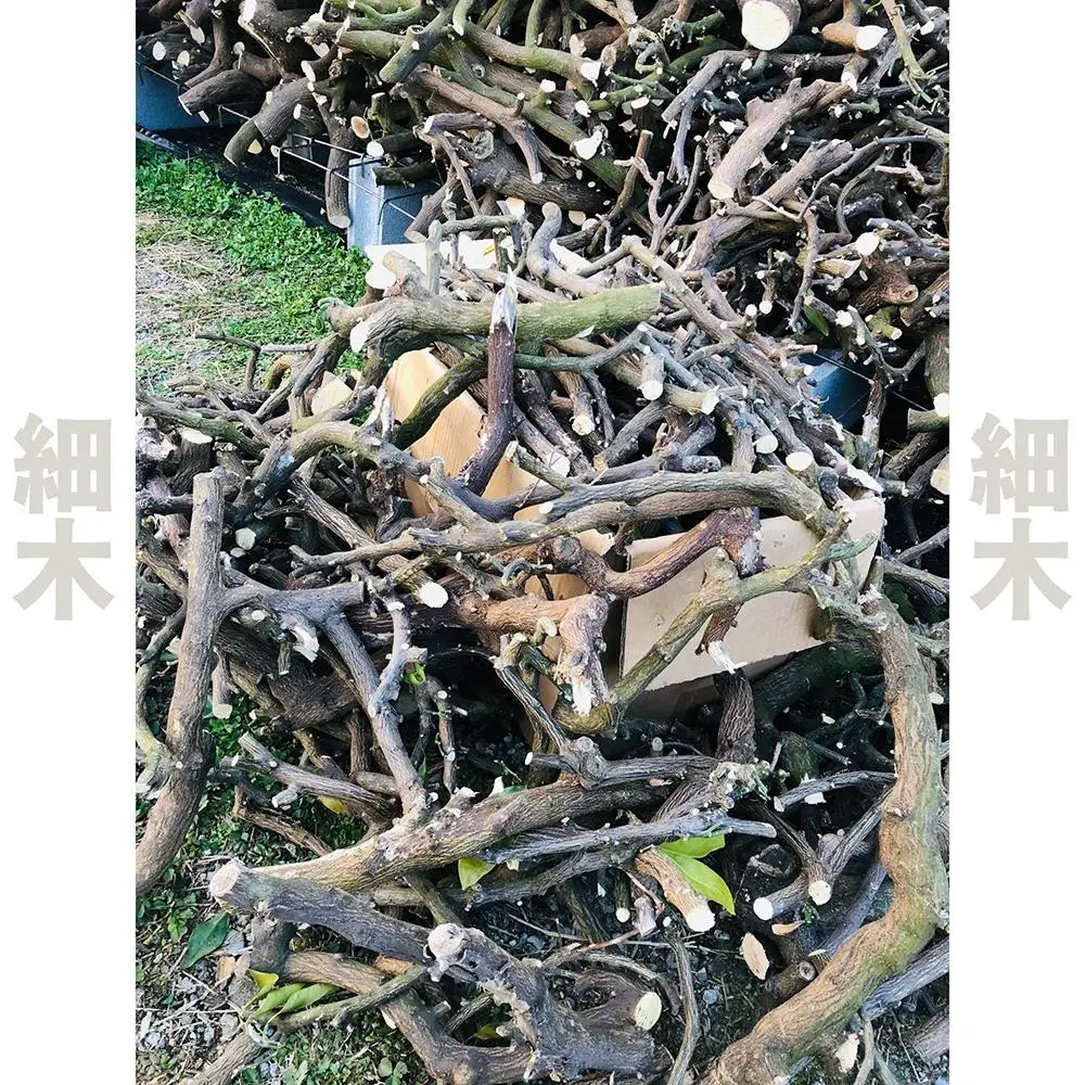 薪 キャンプ用 有田みかんの薪20kg(細木・中太)