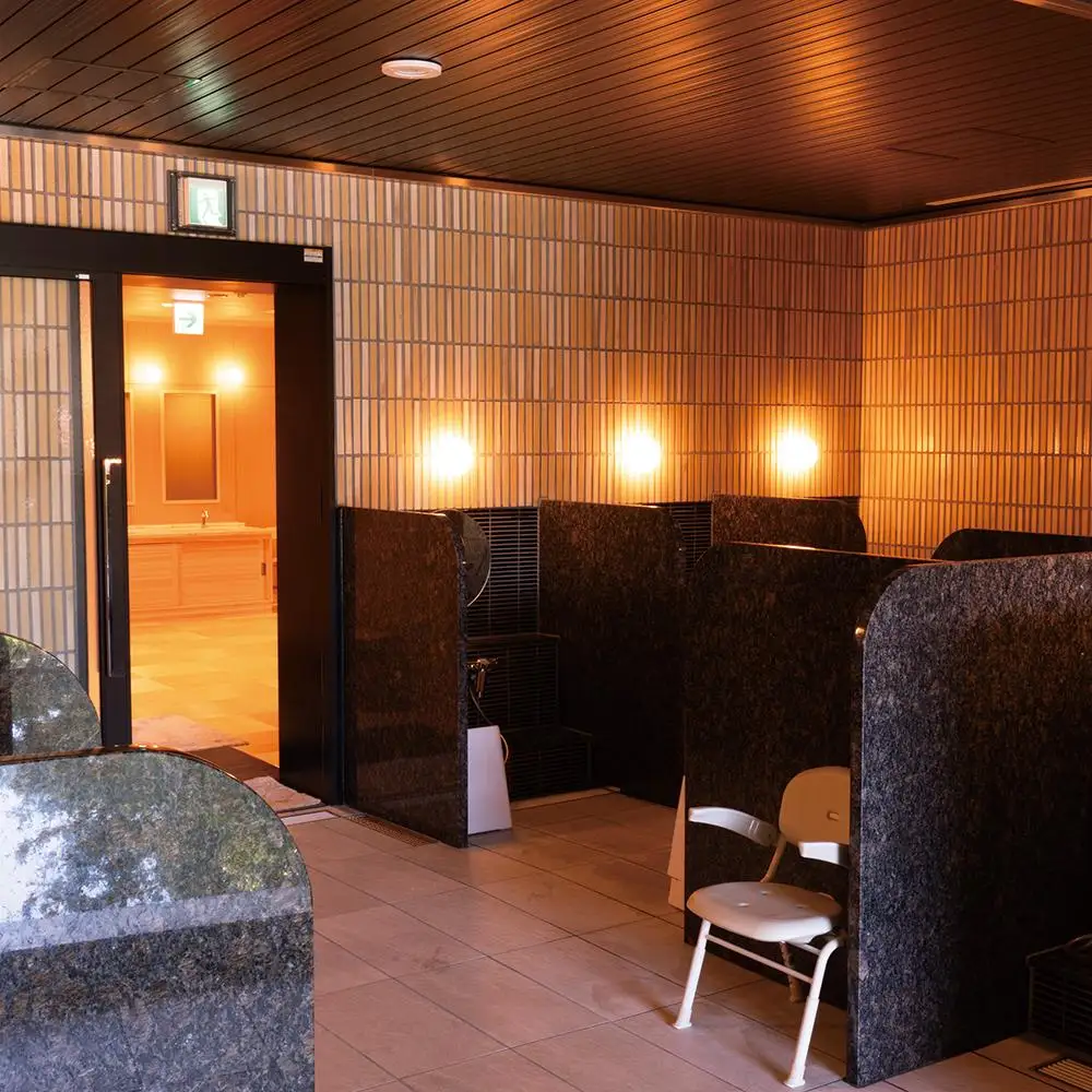 歴史ロマンの湯 しみず温泉 大人 入館券 11回分 入浴チケット 温泉利用券 観光 日帰り