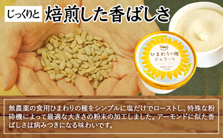 ひまわりの種ジェラート 15個セット　アイス