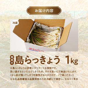 【 2026年先行予約 】奄美 の 島らっきょう 1kg A139-002 らっきょう 先行予約 先行受付 先行 予約 おつまみ 天ぷら 奄美産 野菜 POKAPUKA ふるさと納税 奄美市 おすすめ ランキング プレゼント ギフト