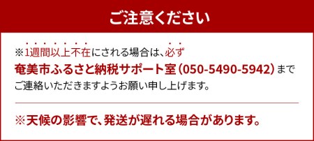 【2026年 観光雑誌付き】奄美産マンゴー 優品・美玉1kg とろける甘さの黄金果肉 樹上完熟 A052-019