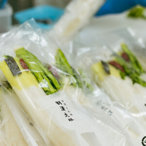 【2026年4月～9月お届け】季節限定　春夏おすすめ漬物７品セット