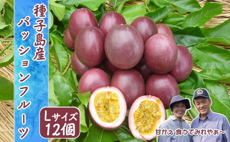 【 6月下旬～8月初旬 先行予約 】 種子島 さご農園 パッションフルーツ サマークイーン (12個)　NFN039【300pt】