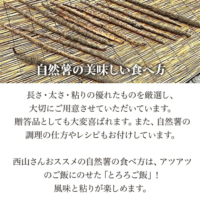 Agrimottoの「自然薯」１kg