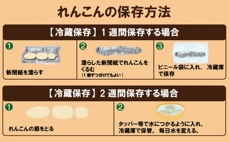 由美屋特選！岩国産れんこん(洗い)２kg【有限会社 由美屋】