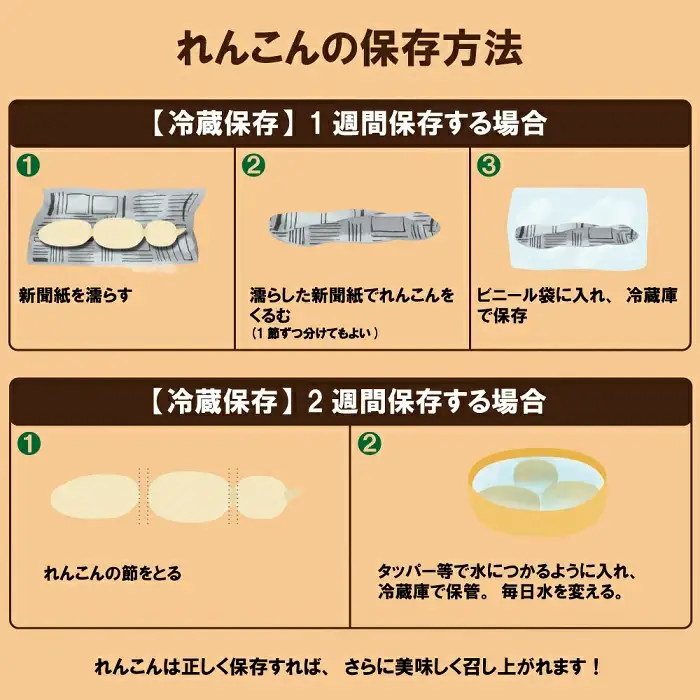 由美屋特選！岩国産れんこん3kg(土付き)【有限会社 由美屋】