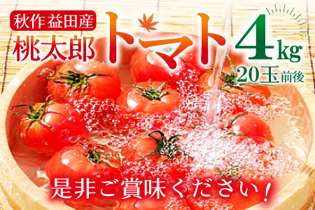 A-991 [秋作]朝採れトマト4㎏(20玉前後)