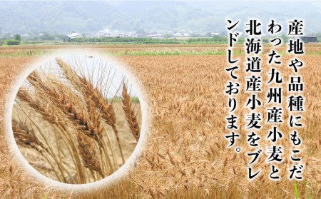 山道そうめん 50g×45束 [SDC007] そうめん