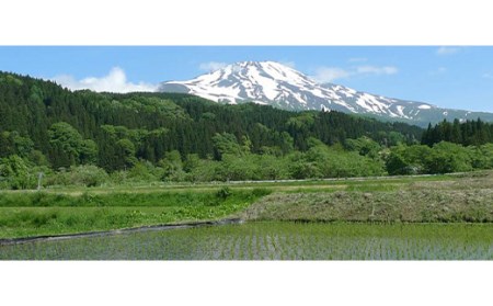 【水の郷百選】山形県 鳥海山 氷河水（ひょうがすい） 500ml×24本 天然水 ミネラルウォーター 軟水 F2Y-6301