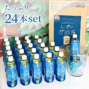 松浦産「松浦のお知家」お茶ペットボトル500ml×24本【B3-060】