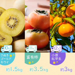 【全12回】坂出市四季のオススメ！旬果実単品定期便♪