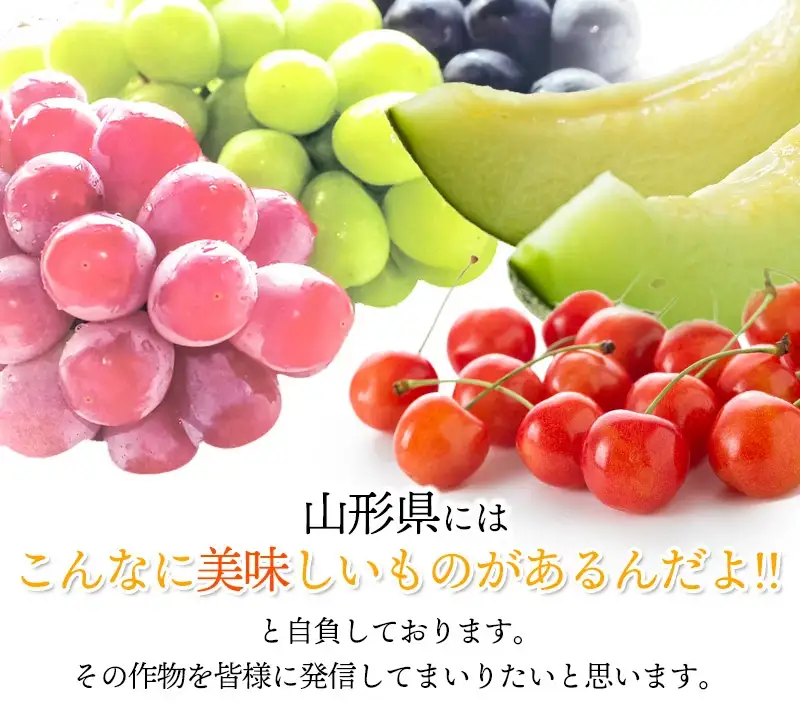 【令和8年産先行予約】大粒ぶどう3種　約2kg　シャインマスカット＋他2品種　丸果庄内青果
