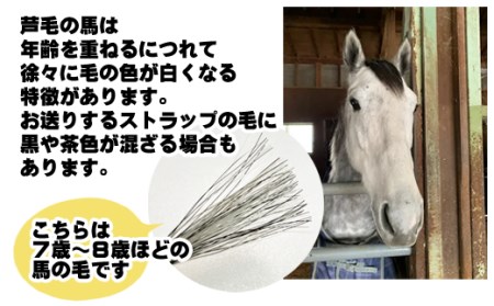 馬のしっぽの毛 ストラップ 3種類 栗毛 鹿毛 芦毛 【馬っこパーク