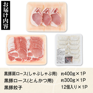 【A02043】特選黒豚 肩・とんかつセット！黒豚餃子(12個入)×1P付き！ 鹿児島 国産 九州産 黒豚 豚肉 お肉 ロース 肩ロース 餃子 ぎょうざ トンカツ しゃぶしゃぶ すきやき おかず 惣菜【和田養豚】