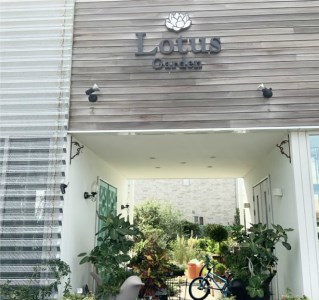 SL0203　禅スタイルシリーズ　苔玉 「酒田の黒松」