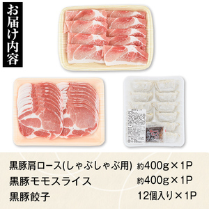 【A02044】特選黒豚モモ・黒豚肩・黒豚餃子セット 鹿児島 国産 九州産 黒豚 豚肉 お肉 モモ 肩ロース 餃子 ぎょうざ トンカツ しゃぶしゃぶ すきやき おかず 惣菜【和田養豚】