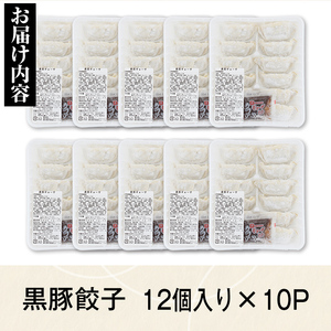 【A02046】黒豚餃子セット(12個入×10パック) 鹿児島 国産 九州産 黒豚 黒ぶた 豚肉 冷凍 餃子 ギョーザ ぎょうざ おかず 惣菜【和田養豚】