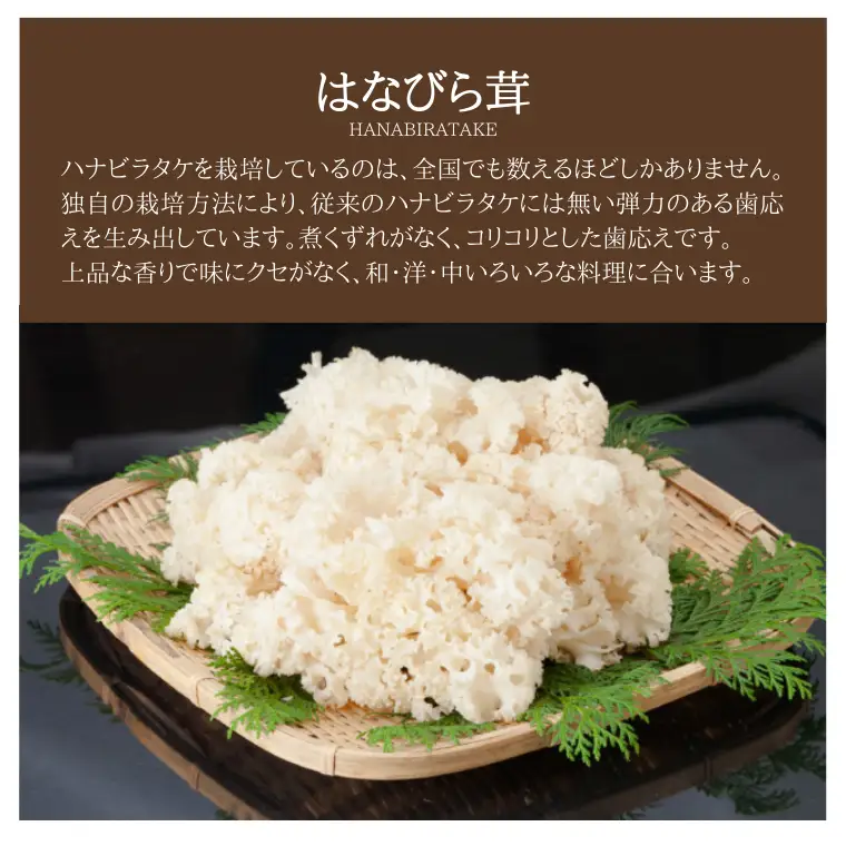 きのこ の 詰め合わせ Lサイズ 約2000g【茨城県共通返礼品 城里町】 キノコ 舞茸 あわび茸 たもぎ茸 しいたけ 花びら茸 [CX003sa]