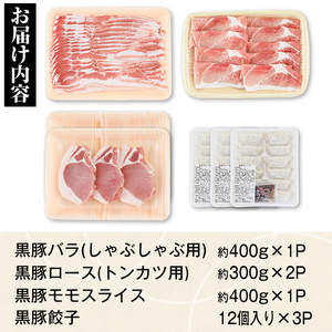 【B02079】ふるさと黒豚セットＢ！黒豚餃子(12個入×3P)付き！ 鹿児島 国産 九州産 黒豚 豚肉 お肉 バラ ロース モモ スライス 餃子 ぎょうざ 焼肉 しゃぶしゃぶ すきやき おかず 惣菜【和田養豚】