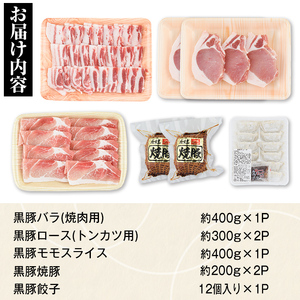 【B02092】特選黒豚バラエティセット(約1.4kg)・黒豚焼豚2個付き！バラ肉(焼肉用)、黒豚ロース(トンカツ用)、黒豚モモ、黒豚焼豚、黒豚餃子のセット 鹿児島 国産 九州産 黒豚 豚肉 お肉 焼豚 叉焼 チャーシュー 餃子 ぎょうざ ギョーザ 惣菜 ギフト 贈答【和田養豚】