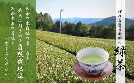 謹製どら焼き<10個入・緑茶2袋付き> 080-F149