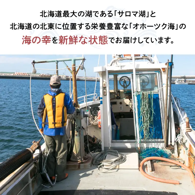 《14営業日以内に発送》オホーツク産 大きい毛がにの甲羅盛り 1個入り 冷凍 ( 毛がに かに カニ 蟹 魚介類 北海道 旨い逸品 チーズ グラタン オホーツク海 )【114-0075】