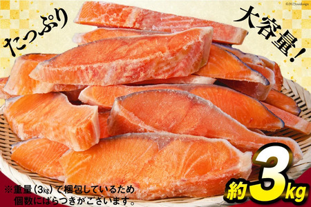訳あり 銀鮭切身 約3kg [宮城県 気仙沼市 20564992] サケ しゃけ 魚 鮭