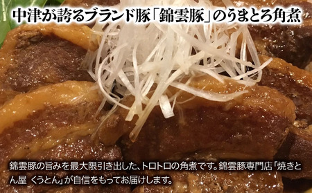 中津からあげ錦雲豚角煮セット | もり山の中津からあげ(調理済)・錦雲豚うまとろ角煮 中津からあげ 唐揚げ からあげ から揚げ レンジ 冷凍 冷凍食品 弁当 おかず お惣菜 おつまみ 大分県 中津市