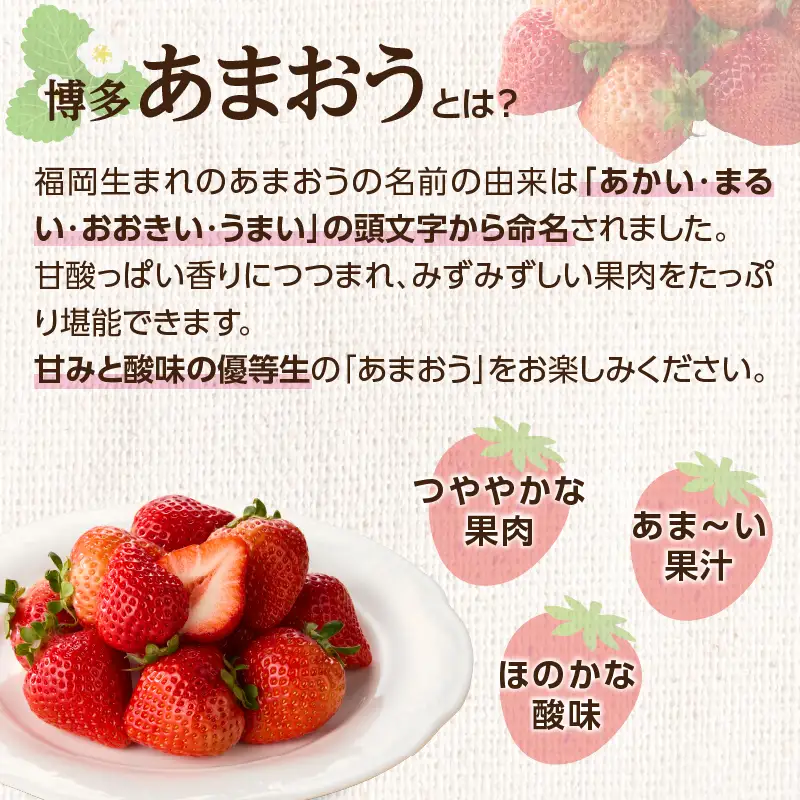 福岡人気のフルーツ定期便【全4回】ふるさと納税で人気のフルーツお届け便　JAふくおか八女からお届け！！ 梨 豊水 幸水 シャインマスカット みかん ミカン あまおう いちご 苺 イチゴ フルーツ 果物 くだもの 人気 旬 高糖度 甘い 福岡県産 アフター補償 数量限定 期間限定 産地直送 全4回 定期便 福岡県 八女市 002-T003
