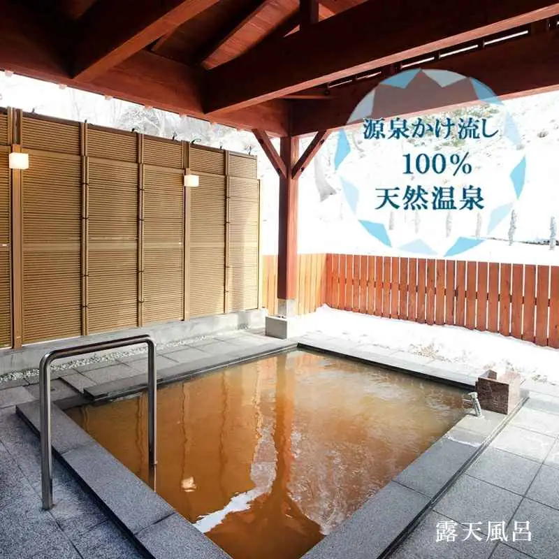 ＜光林荘　松プラン（大人1名 1泊2日 2食付き）＞乙部温泉郷 宿泊券 和室タイプ ホテル 温泉旅館 天然温泉 源泉かけ流し 源泉100％ 温泉 北海道 乙部町 道南旅  自然 地元食材 癒し くつろぎ