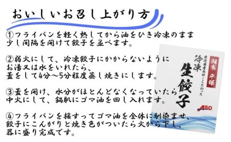 製麺会社の冷凍生餃子 90個 国産野菜 餃子