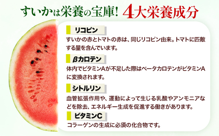小玉すいか ひとりじめ7 約3.5kg以上 すいか