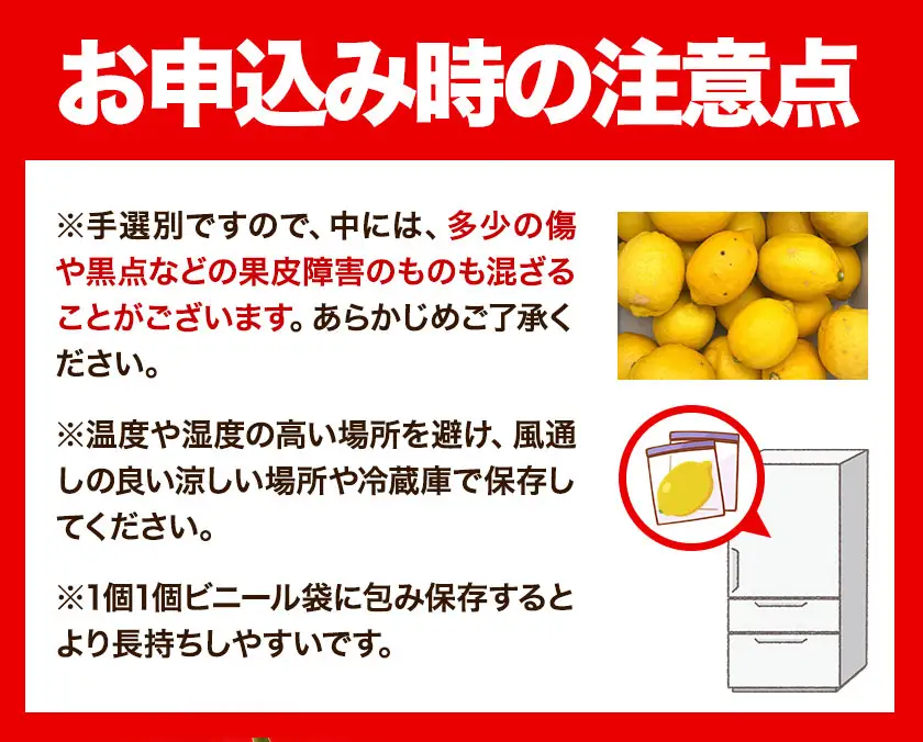 有田産 レモン 約 3kg 厳選館 レモン 檸檬