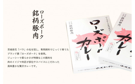カレー レトルト 茨城そだちカレーセット 6食入り 常陸牛カレー＆ローズポークカレー 各3個 食品 ビーフカレー 国産牛 黒毛和牛 父の日 お取り寄せ お祝い 内祝い 出産 結婚 快気祝いプレゼント 誕生日 ギフト対応  茨城県 水戸市 肉のイイジマ （DU-84）