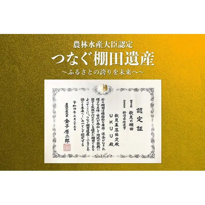 米 コシヒカリ 佐渡産 ( 5kg ) 棚田米 佐渡市歌見地区【令和7年米】
