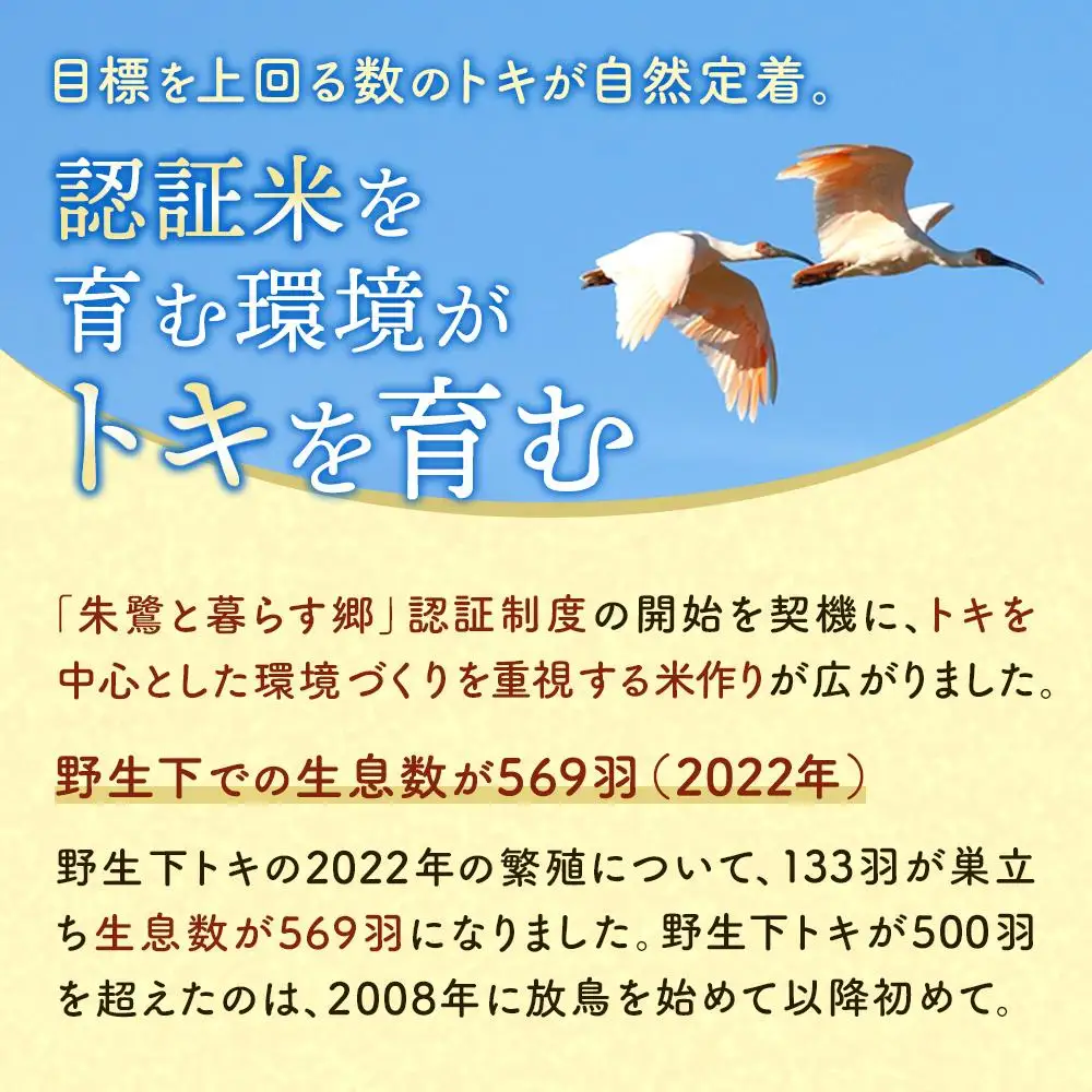 米 朱鷺と暮らす郷 佐渡産コシヒカリ 5kg 令和7年 コシヒカリ
