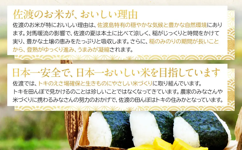 佐渡産コシヒカリ 5kg×4袋セット