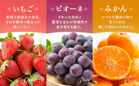 旬のフルーツ詰合せ 丸亀讃美果 季節のフルーツ 果物
