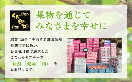 【全3回】フルーツ定期便 夏のいいとこどり フルーツ 定期便