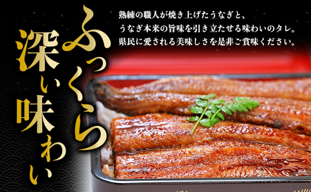 うなぎ蒲焼 2尾入　国産 鰻 ウナギ 蒲焼き ギフト 贈答品 お歳暮 正月 うな丼 鰻丼 うな重 鰻重 ひつまぶし お中元 魚貝類 