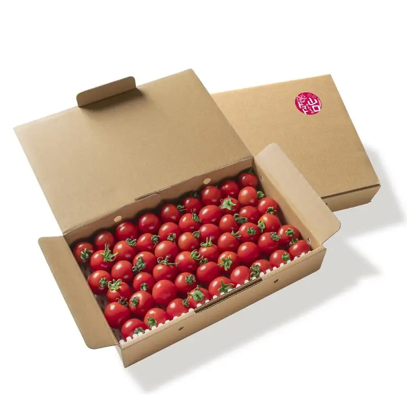 山口さんちの中玉トマト 約2kg シンディースイート 宮崎県西都市産とまと【先行予約】＜2-8a＞★