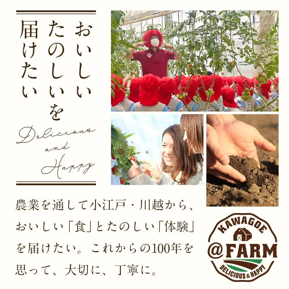 無添加いちごジャム・トマトジャムセット ／ 苺 イチゴ とまと 砂糖不使用 埼玉県